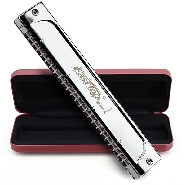 複音ハーモニカ トレモロハーモニカ C调 24ホール 真鍮カバー レザーケース 清潔布 初心者 専門家 勉強 練習用(T2406S-C)…