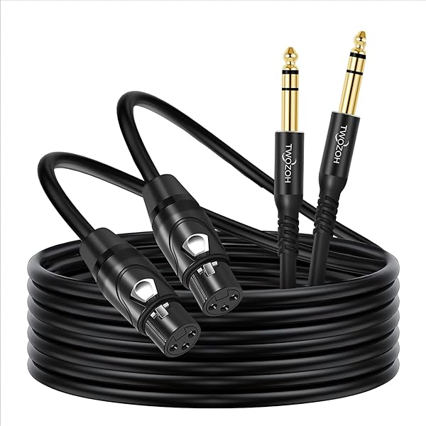 XLRメス - 6.35mm (1/4インチ) TRSケーブル 10M 2本入りクォーターインチジャック XLRマイクケーブル (プロフェッショナル/HiFi)