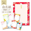 命名書 オーダー おしゃれ 用紙のみ 台紙のみ 選べる 3枚セット ガイド 代筆なし 命名紙 A4 赤ちゃん 新生児 かわいい インスタ映え 出産祝い 内祝い 出産 記念品 贈り物 プレゼント ニューボーンフォト 名入れ 男の子 女の子 成長記録 自分で