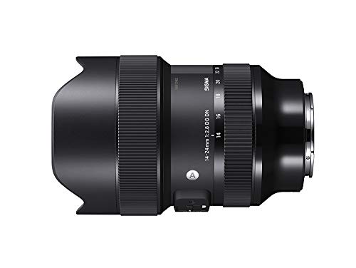 SIGMA 14-24mm F2.8 DG DN | Art A019 | Sony E(FE)マウント | Full-Size/Large-Format ミラーレス専用