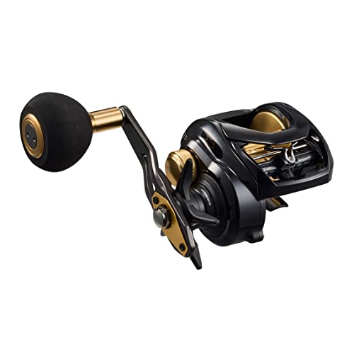 ダイワ(DAIWA) カゴ遠投用両軸リール シーホーク TW 遠投