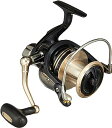ダイワ(DAIWA) スピニングリール(投げ 遠投) 17 WINDCAST 6000QD(2017モデル)