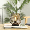 JHY DESIGN LEDランタン 卓上ランプ メタルケージデザイン 電池式 間接照明 コードレス テーブルランプ 装飾ライトアクセントライト LED電球付き...