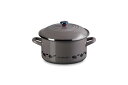 ル クルーゼ(Le Creuset) ポケモン EOS キャセロール 20cm 日本正規販売品