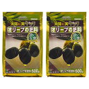 花ごころ オリーブの肥料 500g 2袋