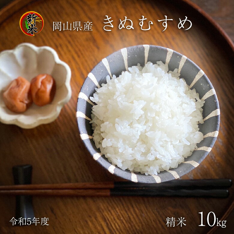 楽天スーパーSALE 20%OFF 特A 新米【 きぬむすめ】令和5年度産 精米 1...