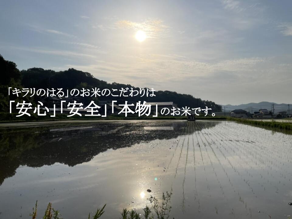 特A 一等米【にこまる】令和5年度産 精米 10kg　 検査済み 岡山県産 送料無料 ※北海道.東北.沖縄地方発送不可 3