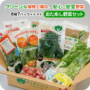 きらきらベジ お試し 野菜セット クール便無料 送料無料 生 宅配 レシピ 健康 栄養 安心 安全 生野菜 ビタミンC ルテイン GABA 植物工場 セット 詰め合わせ ギフト 国産 日本製 お取り寄せ 産地直送 採れたて 兵庫県産 贈答 ケール クレソン セロリ トマト サラダキット