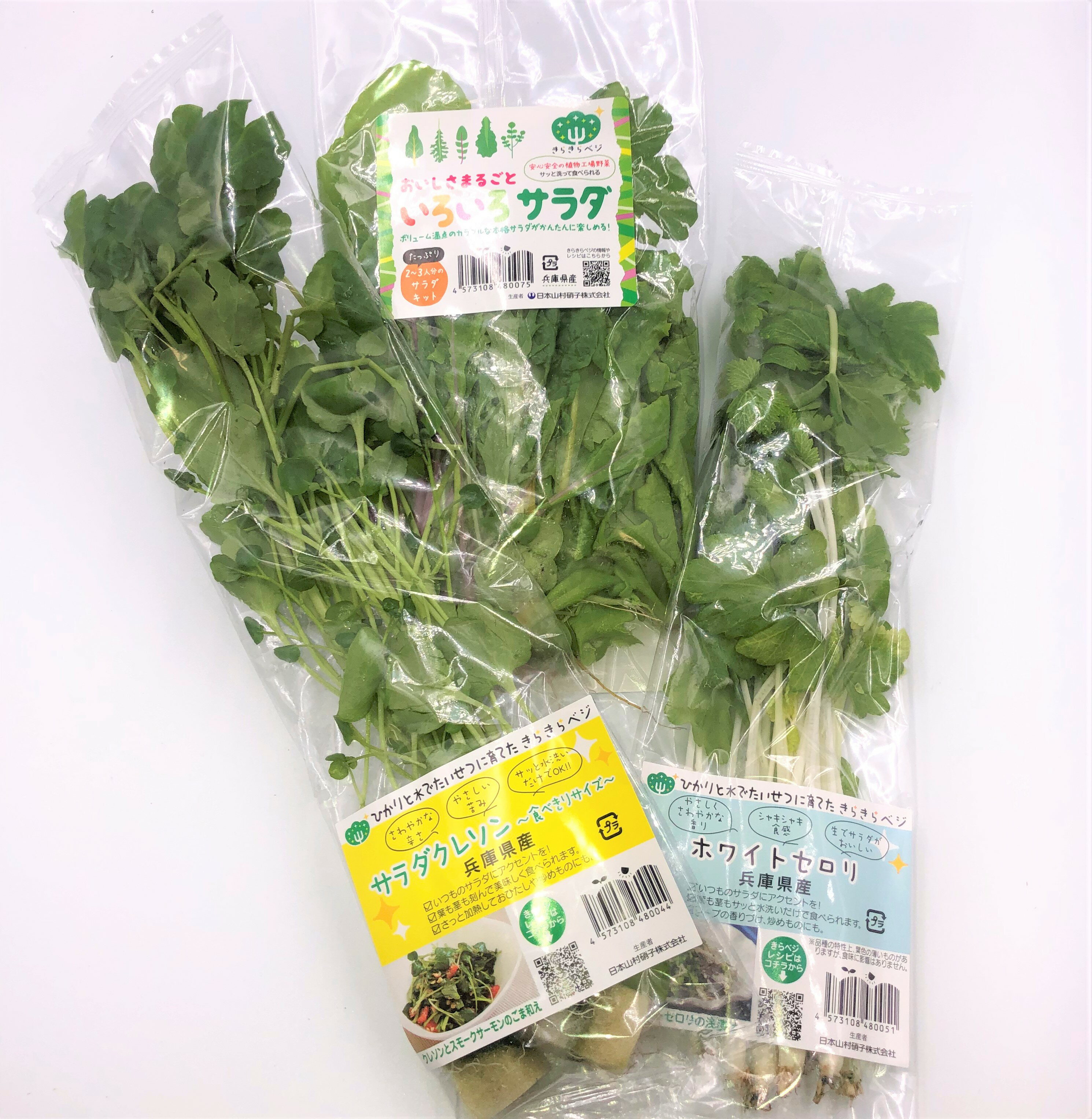 おためしセットのクレソン セロリ いろいろサラダが1パックなのは物足りない という方に このセットで3種の野菜を1パックずつ追加できますよ サラダクレソン ホワイトセロリ おいしさまるごといろいろサラダ 各1パック 計3パックセット おためしセット に追加してもらうと