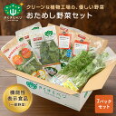 ★5と0のつく日限定！全品P7倍★ きらきらベジ お試し 野菜セット 送料無料 宅配 健康 栄養 安心 安全 生野菜 ビタミンC ルテイン GABA セット 詰め合わせ ギフト 国産 日本製 お取り寄せ 産地直送 採れたて 福井県産 ケール クレソン セロリ