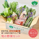 野菜セット きらきらベジ 詰め合わせ 生野菜 旬 厳選 ギフト 新鮮 グルメ 料理 健康 さつまいも サツマイモ キャベツ トマト 送料無料
