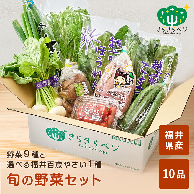 ★期間限定5%OFF&P8倍 24日20:00～27日9:59★ 野菜セット きらきらベジ 詰め合わせ 生野菜 旬 厳選 ギフ..