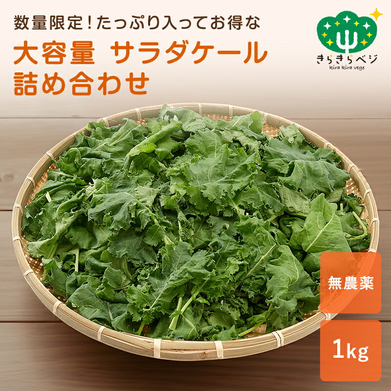 【ふるさと納税】季節の野菜おたのしみセット 北海道産 季節の野菜 セット 詰め合わせ 11000円 11,000円 6種類 8品 お楽しみ 取り寄せ 余湖農園 新鮮 北海道 ふるさと納税 恵庭市 恵庭 【310005】