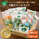 楽天安心安全な国産野菜　きらきらベジ★期間限定最大10％OFFクーポン&P8倍 24日20:00～27日9:59★ 3種のケールセット 計10パック入り ケール サラダ 野菜セット ルテイン GABA ビタミンC 送料無料 クール便 機能性表示食品 詰め合わせ