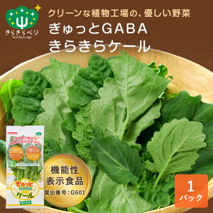機能性表示食品 ぎゅっとGABAケール 1パック 生 ケール GABA 栄養 血圧 機能性表示食品 安心 安全 健康 日本製 国産福井県産 産地直送 お取り寄せ サラダ スムージー 植物工場
