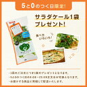 1週間分のサラダケールセット　きらきらベジ サラダケール7パック 野菜セット　送料無料 野菜 セット お取り寄せ 宅配 安心 安全 サラダ 採れたて 生野菜 スムージー 国産 健康 栄養 ビタミンC 詰め合わせ 2