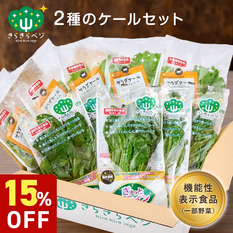 ★期間限定10%OFF 9日0:30〜11日1:59★ きらきらベジ　2種類のケールセット 野菜セット 送料無料 ケール 野菜 人気 セット サラダ 生野菜 新鮮 クール便 安心 安全 栄養 健康 ルテイン ビタミンC 国産 福井県産 個包装 産地直送 採れたて お取り寄せ
