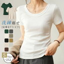 Tシャツ レディース 半袖 夏 秋 春 Uネック インナー トップス 綿 コットン 無地 ゆったり カジュアル 大きいサイズ おしゃれ シンプル ゆるっと きれいめ 着回し レイヤード 重ね着 汗染み防止 トップス カットソー tシャツ ベーシック きれいめ シンプル 通勤 9色全