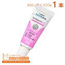 〔お試し〕 Systema Dentalpaste α システマ デンタルペースト アルファ 20g 【定形外郵便発送】 歯磨き剤 歯みがき粉 ミニサイズ 携帯用