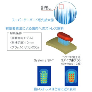 ライオン システマSP-T 歯ブラシ (Systema SP-T) 1本　【追跡番号なしのメール便発送】