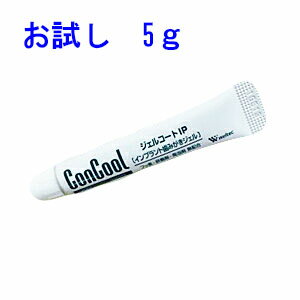お試しウエルテックコンクールジェルコートIP5g歯磨き剤歯磨き粉試供品ミニサイズ携帯用 追跡番号なしのメール便