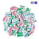 1000円ポッキリ キシリトールガム お試し 60個パック 歯科専用 1個1粒入り アップル