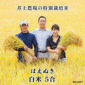 庄内米山形県鶴岡市井上農場の特別栽培米【はえぬき】白米５合