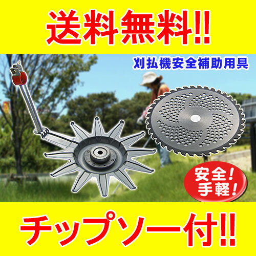 ����ʧ����������Ѷ���̾�ͤ���٤�[235mm/255mm]���ѥ����ס�����̵����������������̵���������츩����������Ρ�