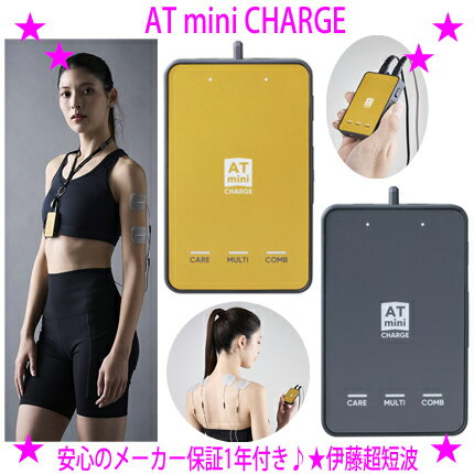 楽天市場】低周波治療器 atミニの通販 楽天市場】低周波治療器 atミニの通販