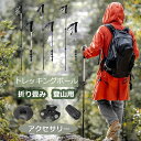 トレッキングポール カーボン製 軽量 1本のみ 登山 ストック スティック Tグリップ 杖 伸縮式 コンパクト ハイキング ウォーキング エルゴノミック トレッキング ポール 持ち運び 耐久性 ステッキ 人気【送料無料】(3)