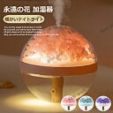 加湿器 USBカーミニ加湿器 うさぎ加湿器 常夜灯 乾燥対策 永遠の花 内蔵バッテリー ワイヤレスポータブル オフィス利用 誕生日プレゼント 静音 省エネ 節電...