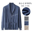 カシミヤ セーター カーディガン メンズ vネック 抗ピリング加工 メンズセーター ニット トップス カシミヤ100% 男性 学生 紳士 ビジネス 選べる3色 ...