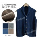 カシミヤ ボタンタイプベストメンズ Vネック S〜3XL メンズセーター ニット 冬服 トップス カシミヤ100% 男性 ビジネス カジュアル トップス カット...