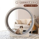 キャットホイール 猫 ランニングホイール キャットウォーク キャット 猫用回し車 ローラー 猫のトレッドミル 爪研ぎ キャットエクササイズホイール ノイズなし ...