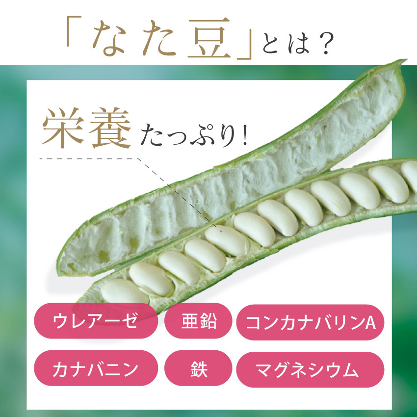 JACKBEANTEA(ジャックビーンティー)