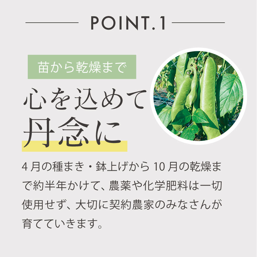 JACKBEANTEA(ジャックビーンティー)