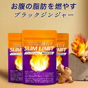 機能性表示食品 スルフォラファン 日本製 国産 ダイエット サプリ ALT値 スルフォラファン スルフォラファングルコシノレート 肝臓 タブレット 野菜 粒 脂肪肝 種 ブロッコリースプラウト サプリ RSL