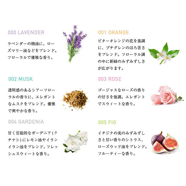 タマノハダコンディショナー004ガーデニア 正規品 ギフト対応可 kireimitsuketa2-10009529 Scroll Beauty 楽天市場店 サンプル画像3