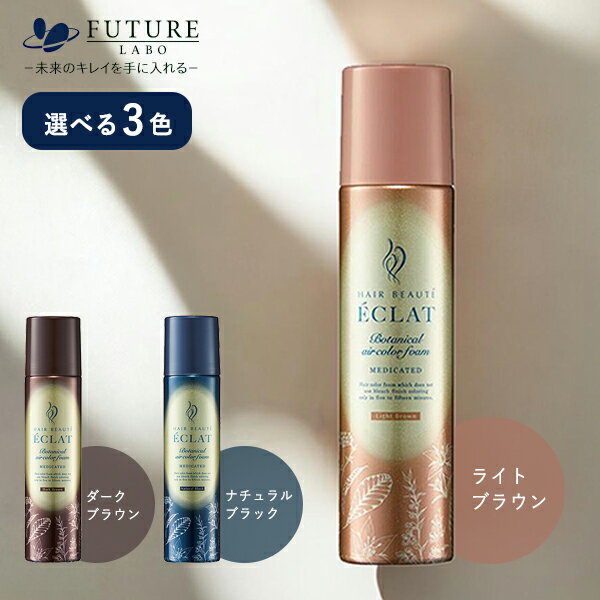 【10/4 20時から!最大14%OFFクーポン】ヘアボーテ エクラ ボタニカルエアカラーフォームEX 白髪染め 手軽 傷めにくい ダメージ髪ケア うるおい FUTURE LABO 医薬部外品 正規品 ギフト対応可