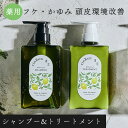 【7/15限定!全品共通10%クーポン】薬用 凜恋 リンレン シャンプー&トリートメント セット ミント&レモン 医薬部外品 無添加 ノンシリコン スカルプ 抜け毛 フケ かゆみ ハリ コシ rinRen 医薬部外品【正規品】【ギフト対応可】