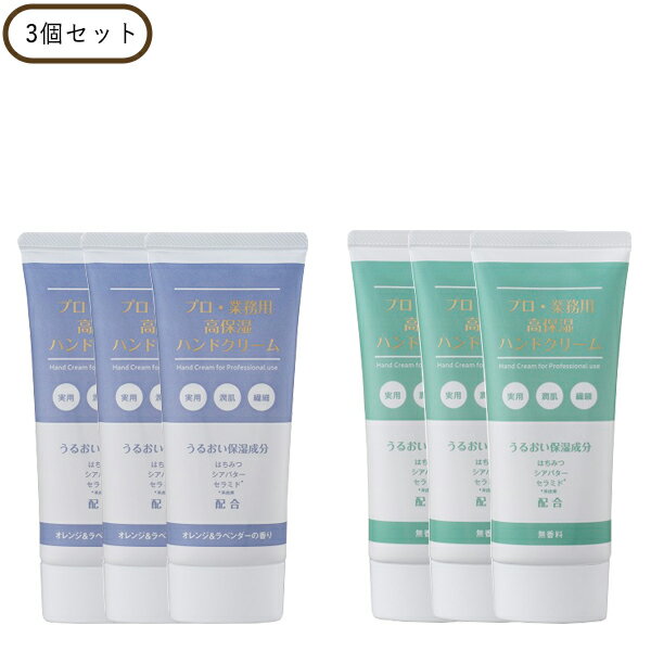 10OFFݥۥץ̳ ݼϥɥ꡼ 3ĥå  եб