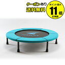 【全品共通15%クーポンあり】エアロライフ ホームジャンピン...