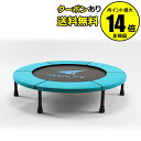 【全品共通15%クーポンあり】エアロライフ ホームジャンピン...