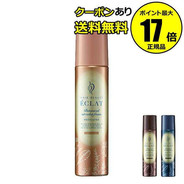 【全品共通10％クーポンあり】ヘアボーテ エクラ ボタニカルエアカラーフォームEX 白髪染め 手軽 傷めにくい ダメージ髪ケア うるおい＜FUTURE LABO／フューチャーラボ＞＜医薬部外品＞【正規品】【ギフト対応可】