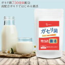 ガセリ菌 60粒