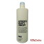 ƥå ӥ塼ƥ 󥻥ץ ץ˥å ס 1000ml AUTHENTIC BEAUTY CONCEPT