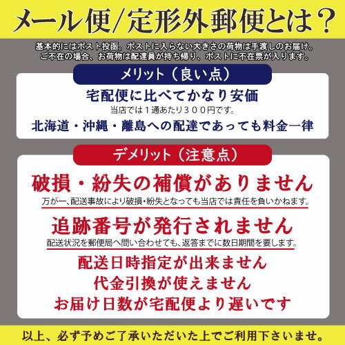 【メール便対応可能】ルベル クールオレンジ ス...の紹介画像2