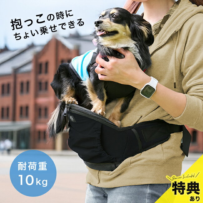 ����ŵ�����EIGHTEX �����ƥå��� �ҥåץ�����Light[�ҥåץ����� ���٥���դ� ���ä�ɳ �� 10kg �����դ� �ڥåȥ���꡼ ������ �淿�� ...