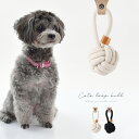 M-PETS エムペッツ COTO ループボール S[ロープトイ 犬 噛む おもちゃ ロープ プレゼント 犬用 犬用おもちゃ 歯磨き グッズ デンタルケア 噛み...