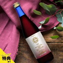 【特典あり】インティ プラセンタ ディープ 550000NEO[プラセンタドリンク プラセンタ ドリンク 飲料 美容ドリンク 健康ドリンク 美容飲料 健康飲料 ...